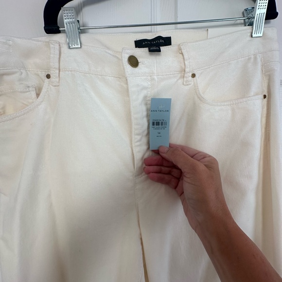 NWT Ann Taylor Velvet Bootcut Pants. - Picture 2 of 3